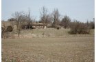 Property photo 7 - ABSOLUTE AUCTION - 298 Acres Offered in 4 Tracts